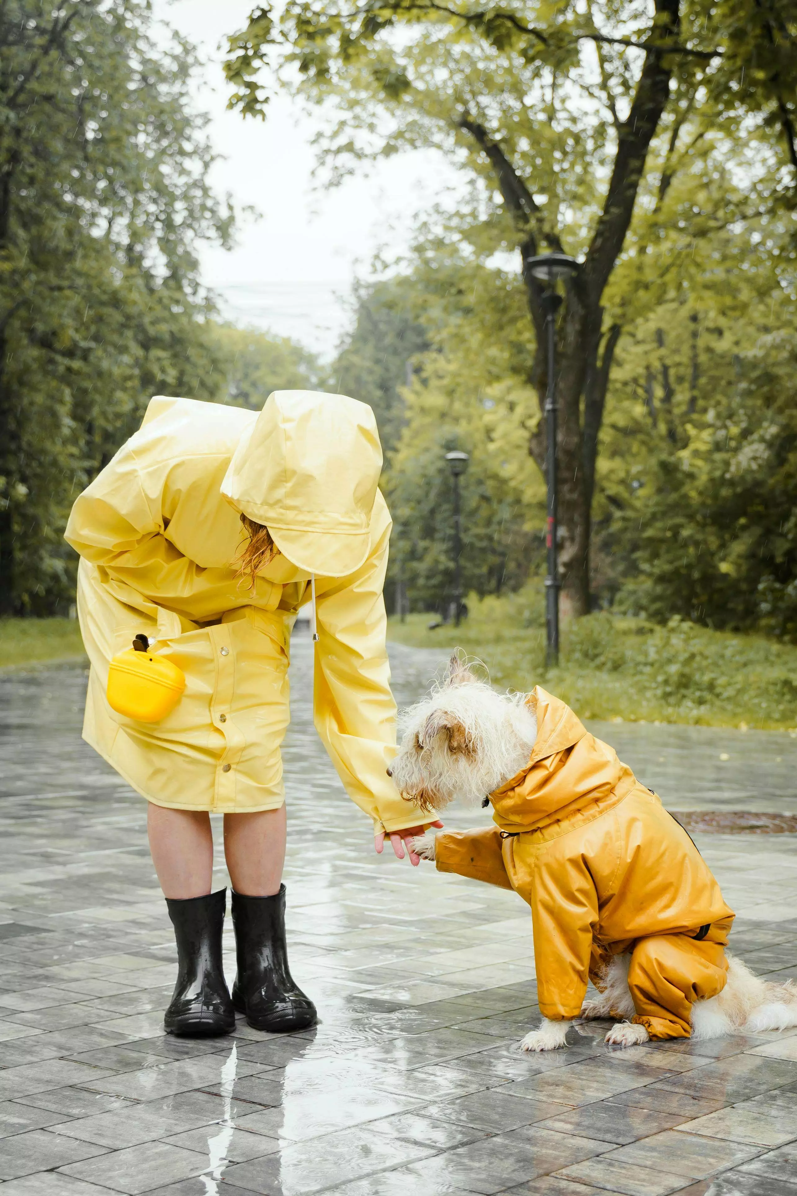 FUR REAL? DOGS MIGHT BE YOUR EMOTIONAL TWIN FUR REAL? DOGS MIGHT BE YOUR EMOTIONAL TWIN